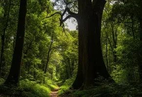 b)  Un día resolviendo cosas, porque me encanta ser útil​.