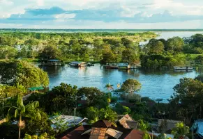 c) Selvas y veredas remotas