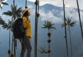 b) Soy introspectivo y resiliente.​