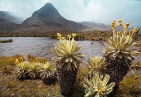 e) El viento entre los páramos