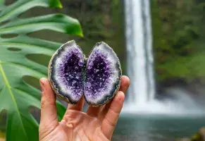 a) Una piedra rara, una hoja gigante o una foto de una cascada.​