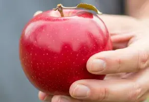 d) Sola, como snack.​