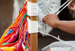 a) Una brújula, un libro de fauna o una hamaca tejida a mano.​