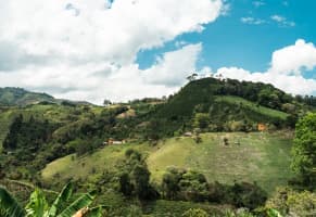 c) El silencio frío de la montaña