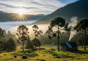 c) Un paseo a caballo al atardecer​.