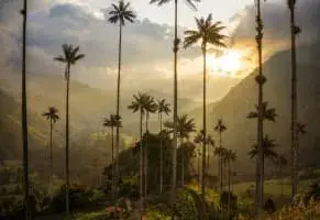 c) Templados, un punto medio.​