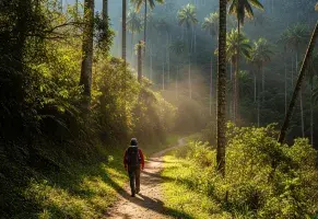 c) Caminatas, naturaleza y aire fresco.​