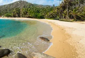 b) A una playa con grandes especies