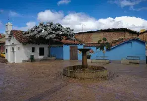 c) A una playa con grandes especies