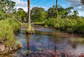 b) Playas fluviales y ríos grandes​
